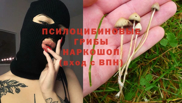 гашик Абаза