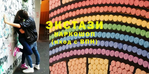 гидра Няндома