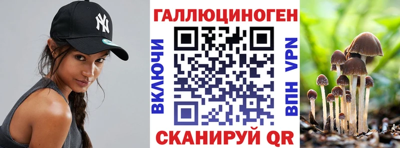 Псилоцибиновые грибы Cubensis mega ССЫЛКА Адыгейск даркнет сайт